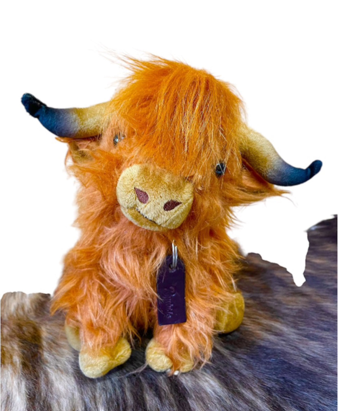 P4188 - Rawhide Highland Cow