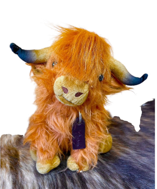 P4188 - Rawhide Highland Cow